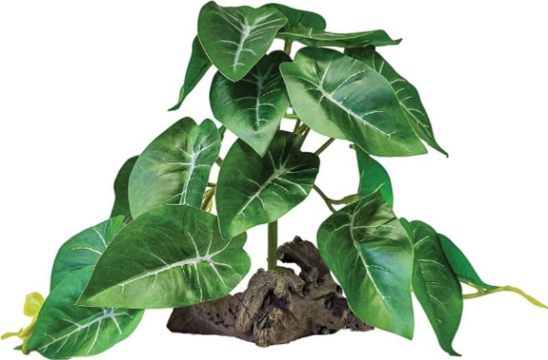 REPTO PLANT ON DECO ELEPHANT GREEN