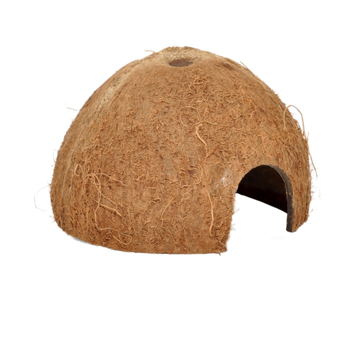 HABISTAT COCOSNOOT GROT