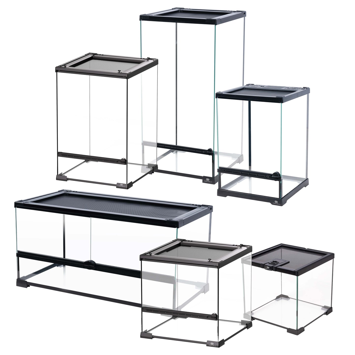 TERRA DELLA GLAZEN TERRARIUMS