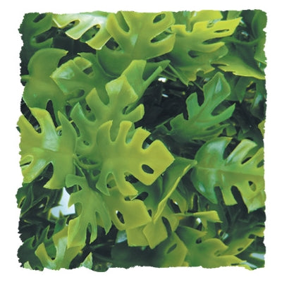 ZOO MED AMAZONIAN PHYLLO
