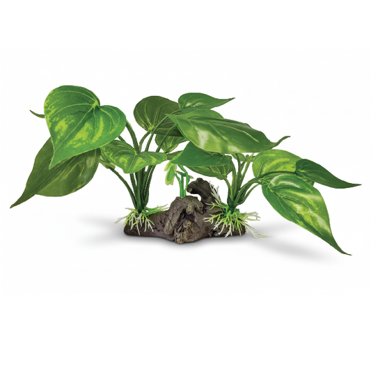 REPTO PLANT ON DECO LIGHT GREEN