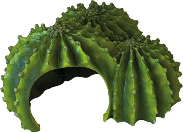 REPTO DECO CACTUS TRIPLE