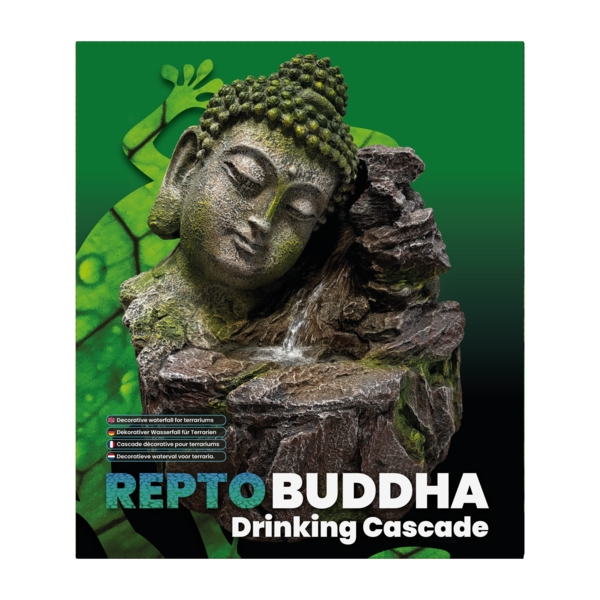 REPTO BUDDHA DRINKING CASCADE