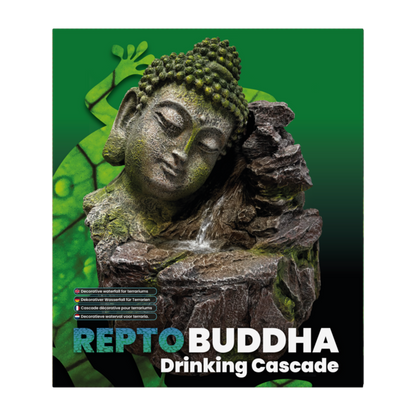 REPTO BUDDHA DRINKING CASCADE