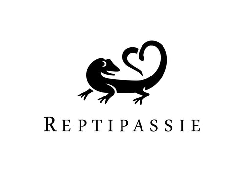 Reptipassie