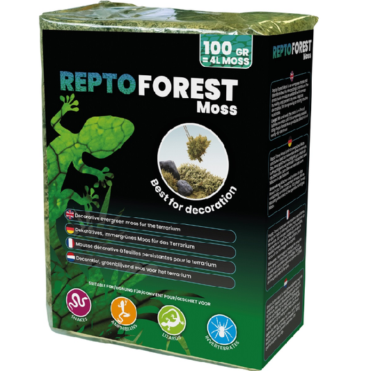 REPTO FOREST MOSS 100 GRAM