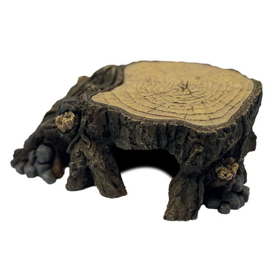 REPTO DECO TRUNK