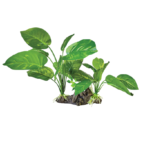 REPTO PLANT ON DECO DARK GREEN