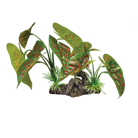 REPTO PLANT ON DECO ELEPHANT RED