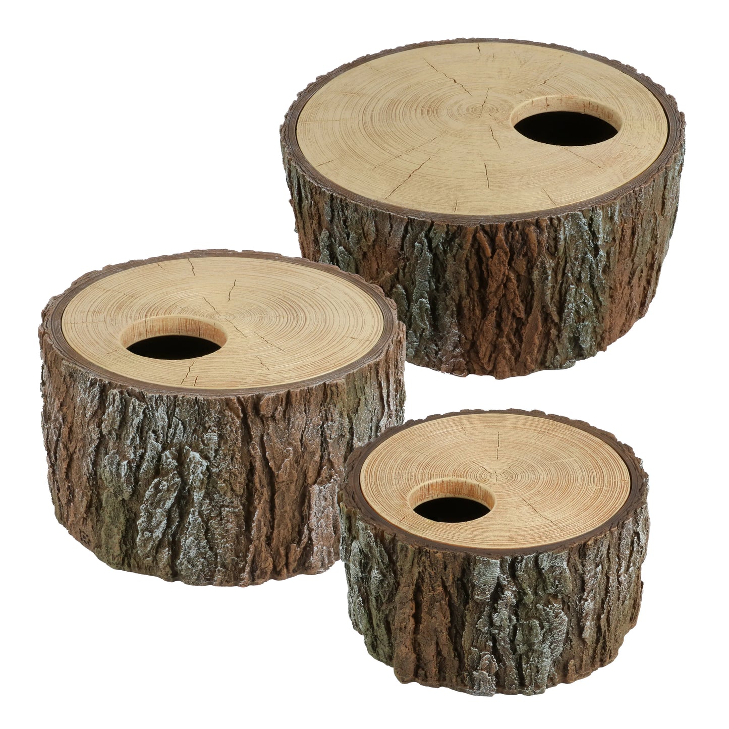 REPTIELENSCHUILPLAATS BOOM S/M/L - Reptipassie