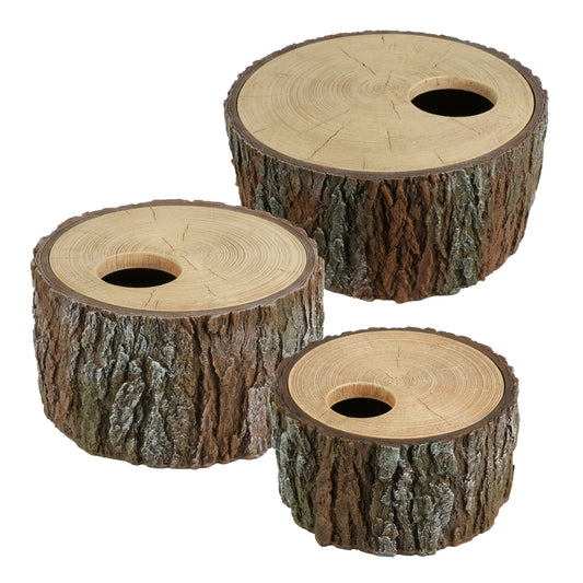 REPTIELENSCHUILPLAATS BOOM S/M/L - Reptipassie