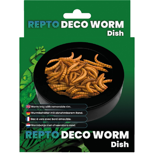 REPTO DECO WORM DISH