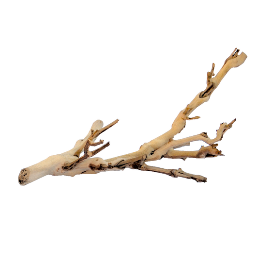 Exo Terra Forest Branch – S/M