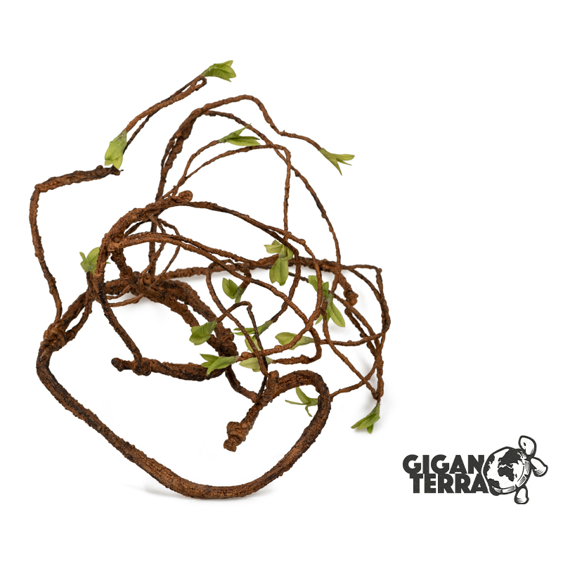 GIGANTERRA JUNGLE VINE